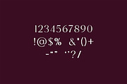 Mustachio Elegant Serif Font, a Serif Font by UICreative (Thumbnail 12 of 13)