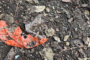 Nature Dirt