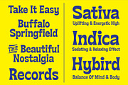 Flatface Sours, a Sans Serif Font by Flatface (Thumbnail 7 of 11)