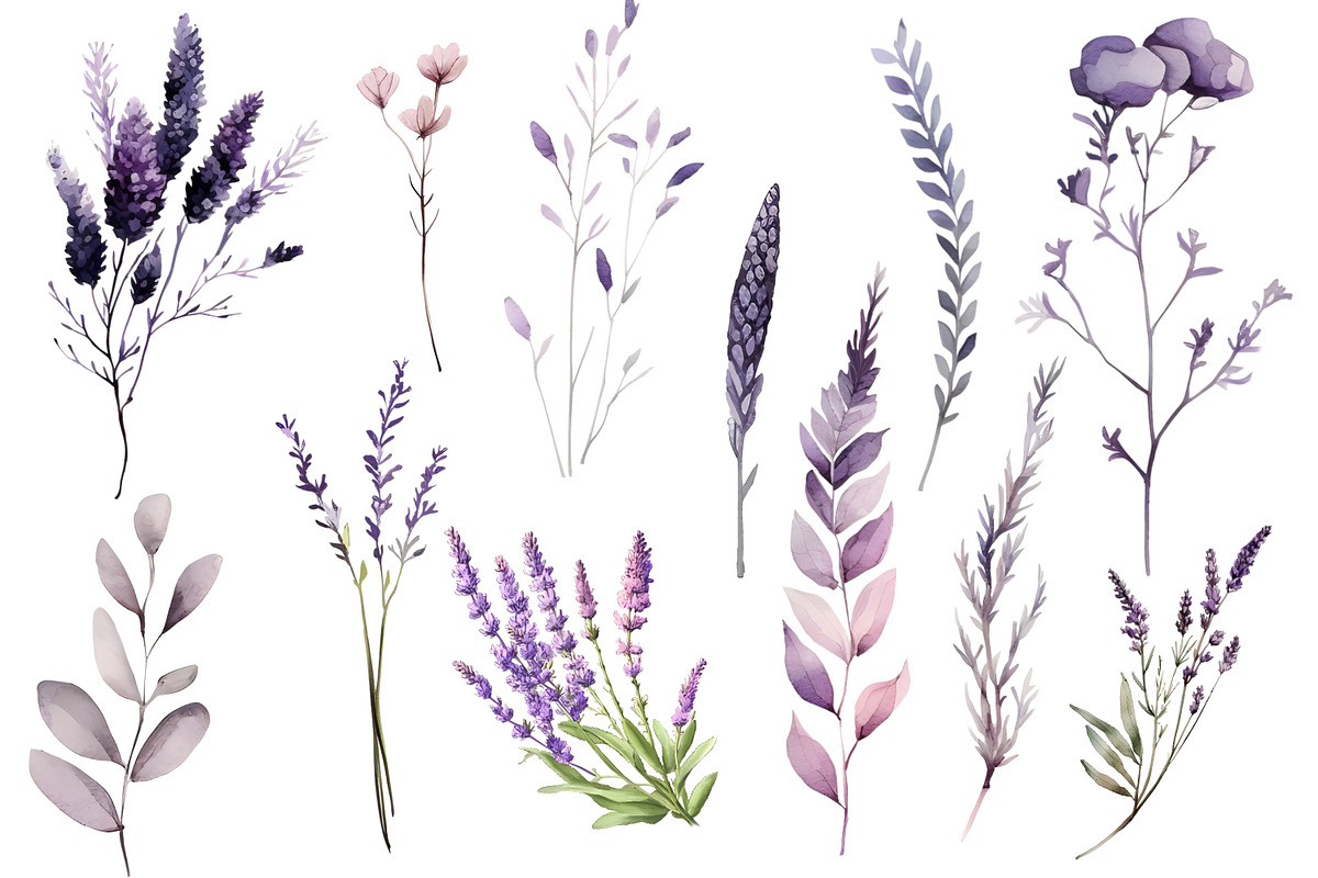 Lavender clipart, flowers clipart, an Object Graphic by MajorArtTm (Photo 2 of 6)