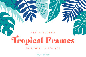 Tropical Illustrations