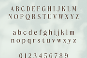 Artigianale Serif, a Serif Font by Creative Foundry (Thumbnail 6 of 8)