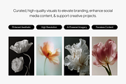 80 Floral Aesthetic Stock Images, a Background Photo by Digital Asset Co (Thumbnail 3 of 9)