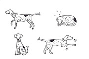 Cute doodle dogs (big collection), an Animal Illustration by Liz Pengilley Studio (Thumbnail 17 of 23)