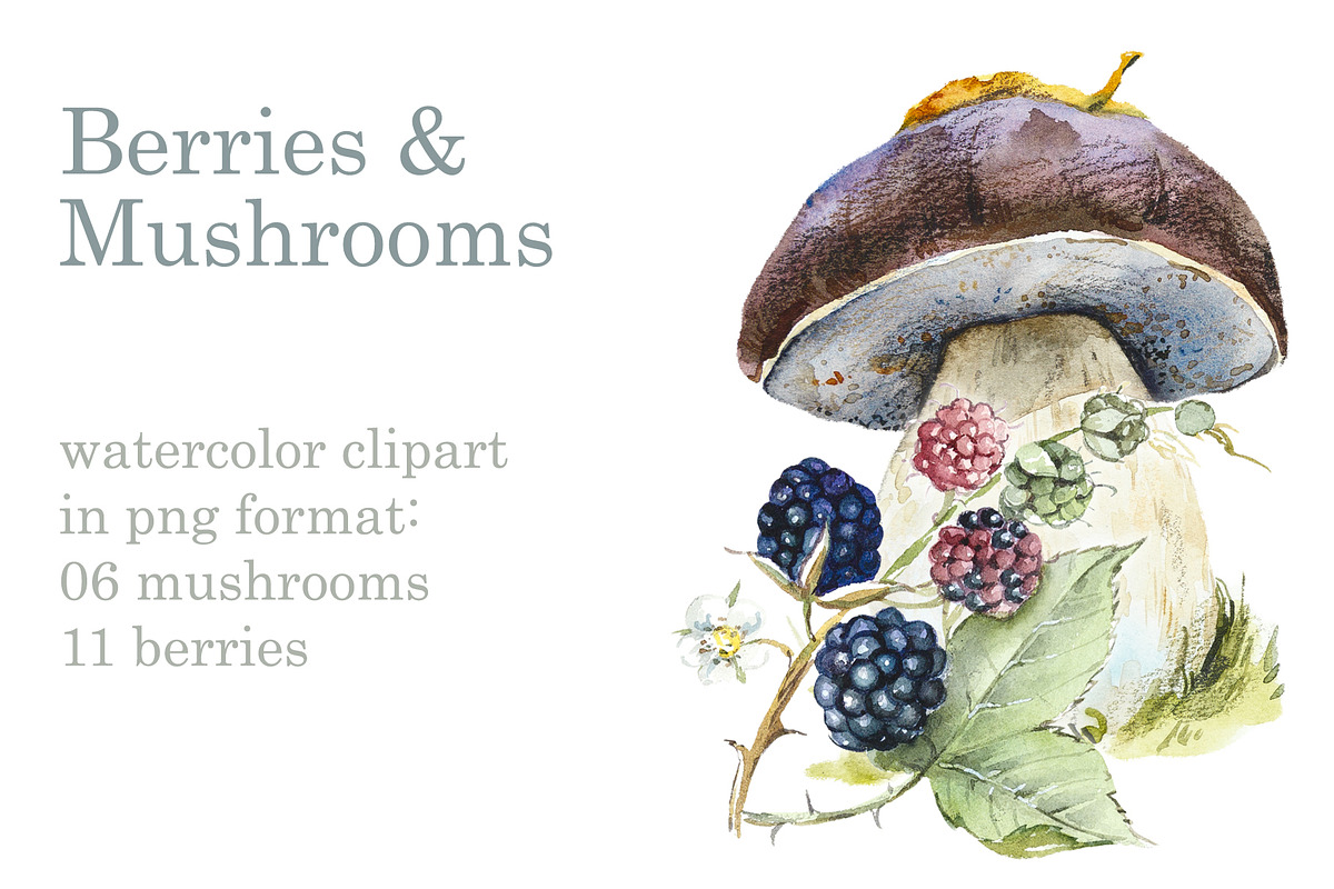 Berries & Mushrooms Clipart, an Illustration by Budogoshch (Photo 1 of 7)