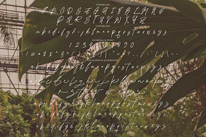 Qikabey - Handwritten Signature