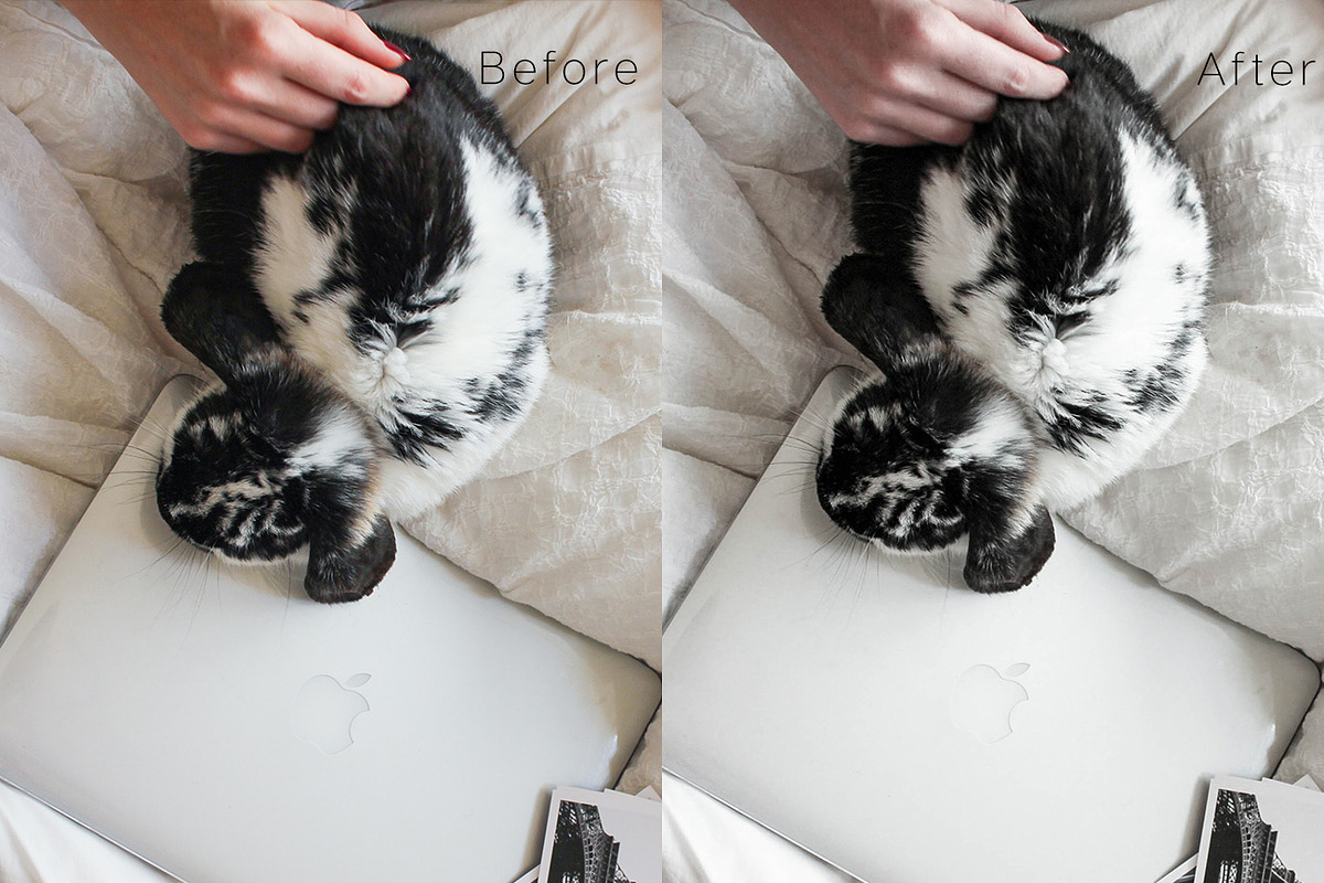 Minimal Lightroom Mobile Preset. preview 8