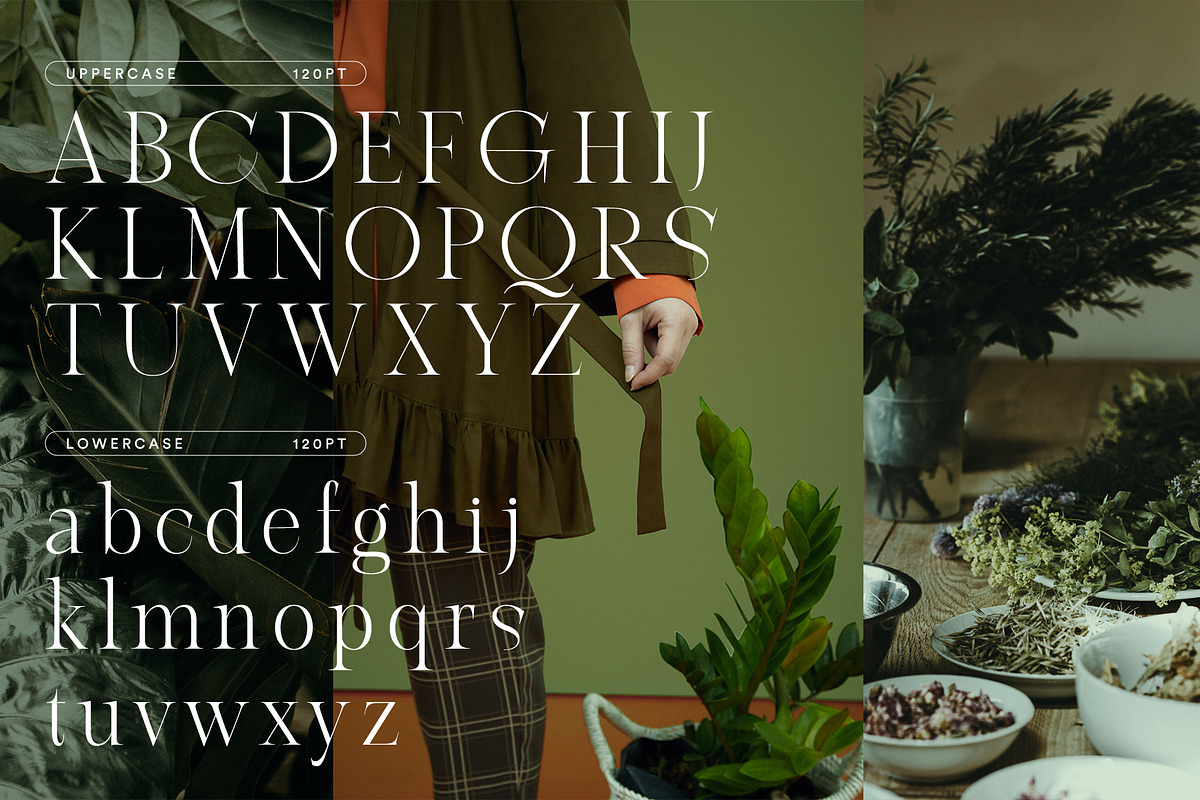 ABSINTIO - Stylish Classic Typeface, a Serif Font by One Pillar Studio (Photo 2 of 8)