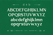 GC Commune – Modern Inktrap Serif, a Serif Font by Glyphonic (Thumbnail 4 of 16)