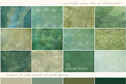 FloraVerde: Botanical Backgrounds, a Background Graphic by alonahaidash (Thumbnail 10 of 12)