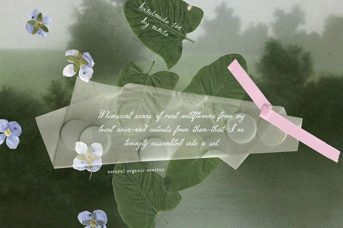 The Garden Treasures Floral Overlays, an Object Graphic by Muse Artist (Photo 2 of 14)