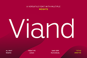 Viand — A Versatile Sans with Flavor, a Sans Serif Font by Fridaytype (Thumbnail 1 of 15)