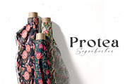 Watercolor Protea Floral Elements, a Decorative Illustration by Damian Roh (Thumbnail 2 of 12)