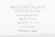 Shinymotion A Monoline Script Font, a Script Font by Allouse Studio (Thumbnail 9 of 10)