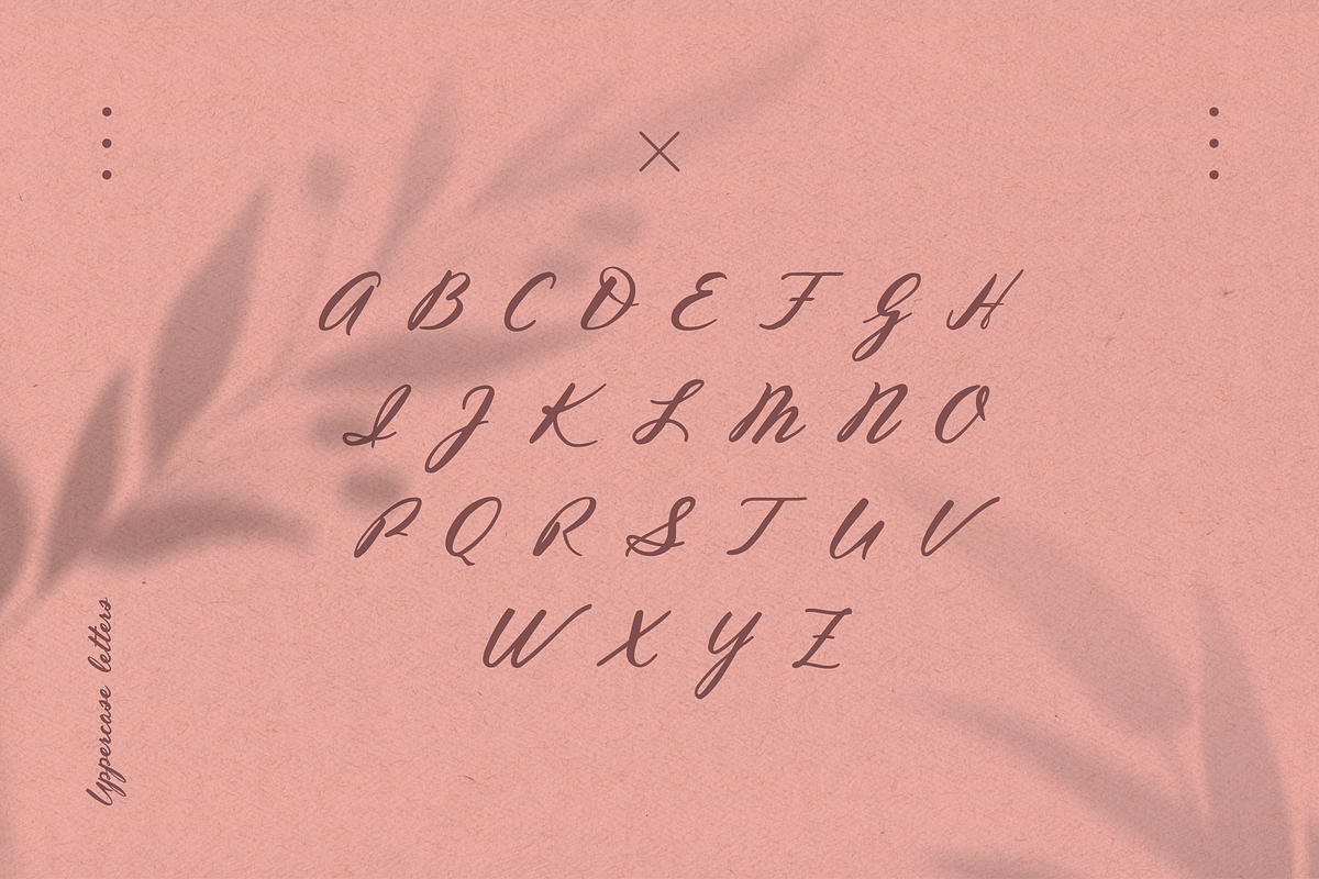 Inola Hand Lettered Font, a Script Font by Wild Ones (Photo 2 of 12)
