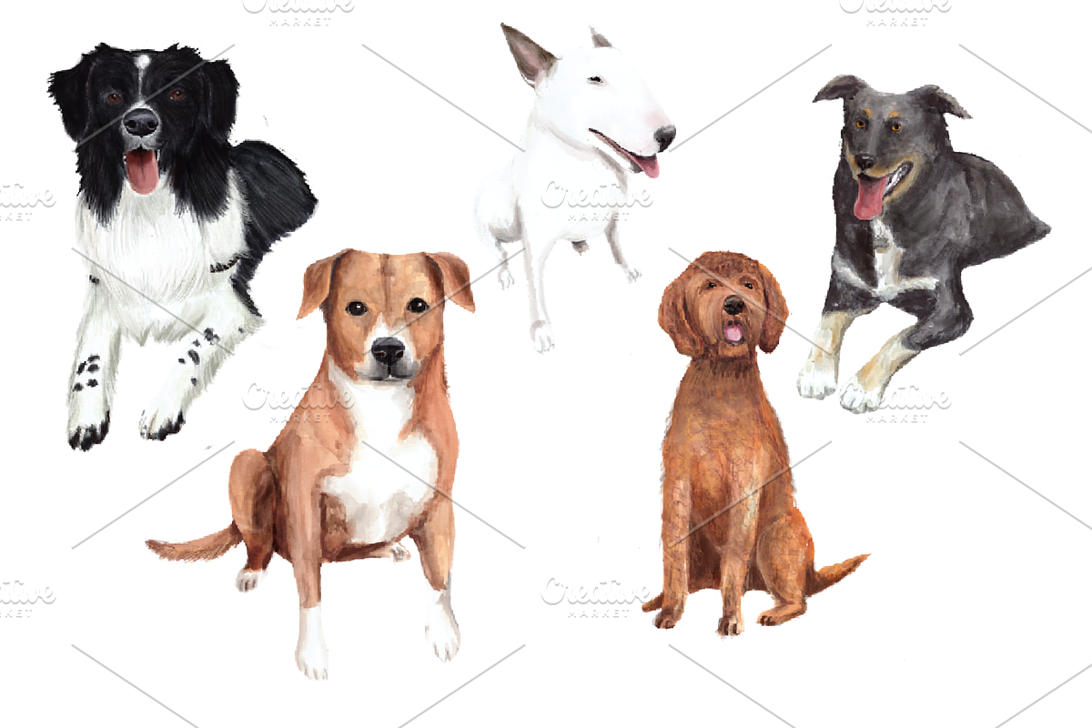 Watercolor Dogs Set, an Animal Illustration by MumAndMe (Photo 2 of 2)
