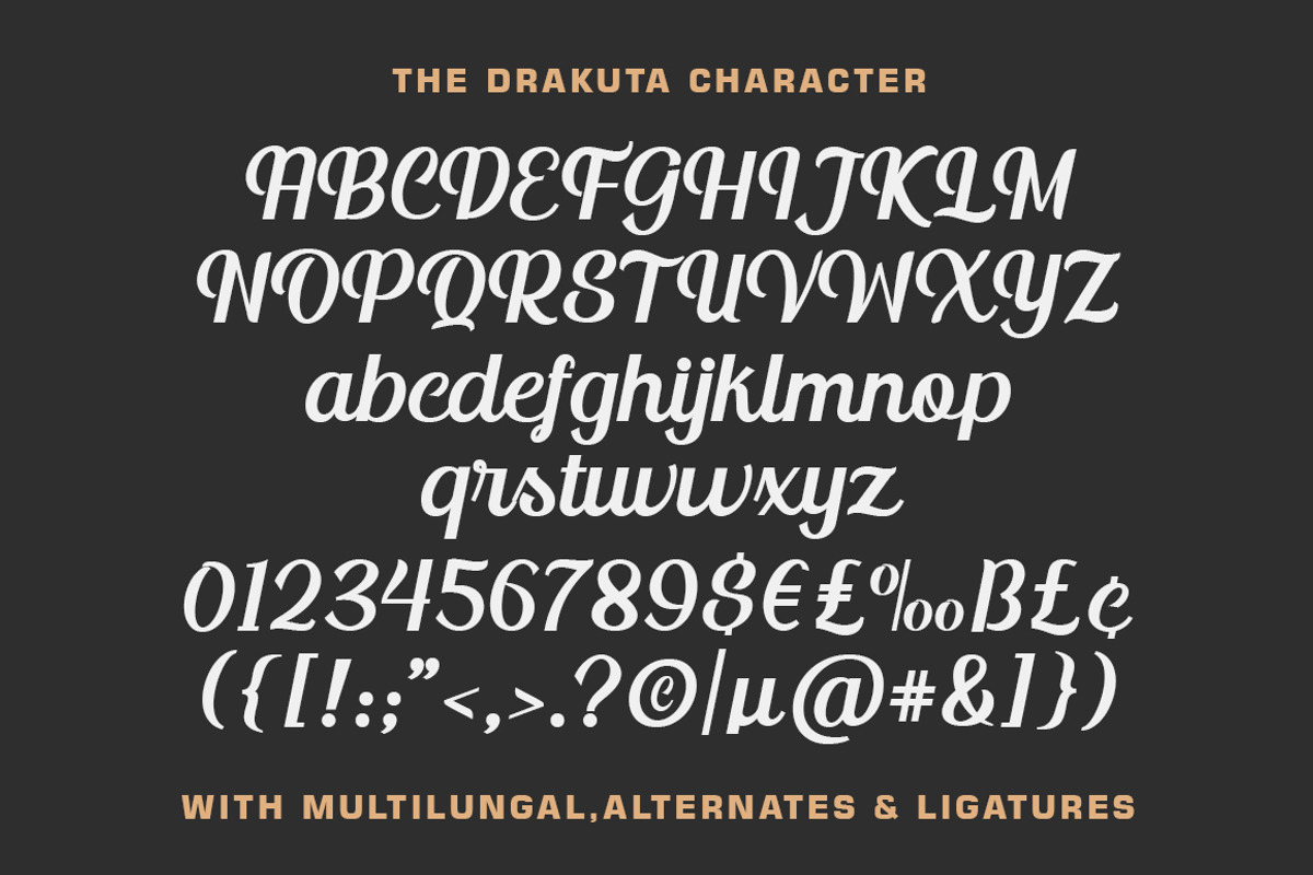The Drakuta Vintage Script Font, a Script Font by nizarbagasm (Photo 6 of 8)