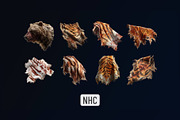 NHC – Leather Animal Trophies, an Animal Illustration by New Horizon Creators (Thumbnail 3 of 6)
