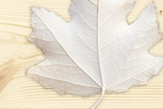 Autumn Floral Mockup Objects, an Object Graphic by uncle-rico (Thumbnail 12 of 13)