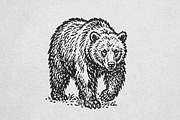 Vintage Grizzly Bear Graphic, an Animal Illustration by lettett (Thumbnail 3 of 3)