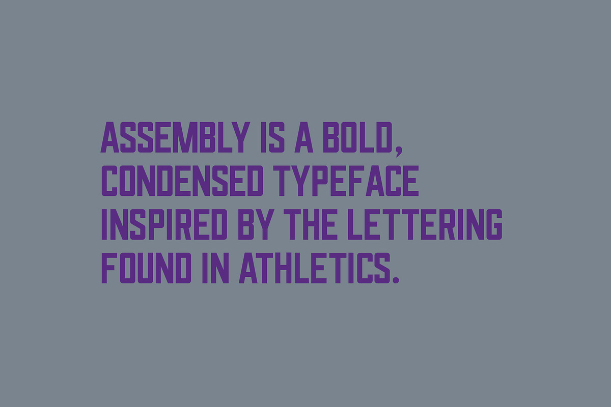 Assembly Regular - Display Font, a Sans Serif Font by Tim Hankins Design (Photo 4 of 7)
