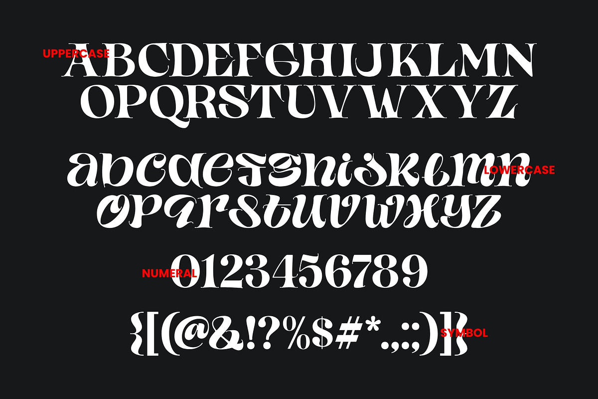 Yorken - Curvy Modern Serif Typeface preview 2