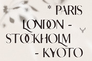 skylar - modern ligature sans font, a Sans Serif Font by SilverStag Type Foundry (Thumbnail 11 of 18)