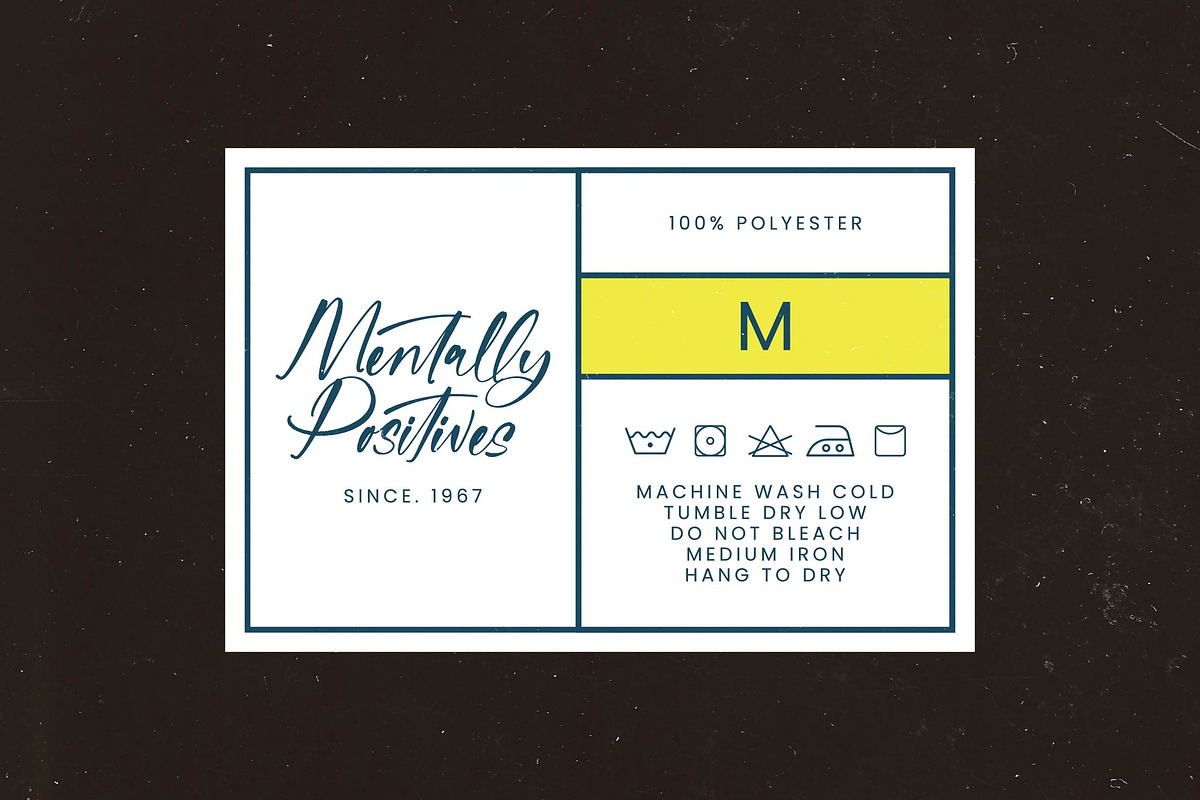 Mentally Positives Bold Brush Font, a Script Font by stylishtype.co (Photo 7 of 20)