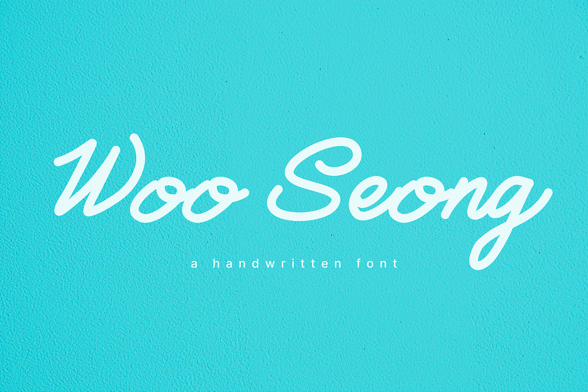 WooSeong - a Script Handwritten Font, a Handwritten Font by BeadyLab (Photo 1 of 9)