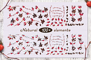 vector SET Winter Forest, an Animal Illustration by WINDmade (Thumbnail 6 of 19)