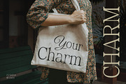 CS Sheila – Classic Font, a Serif Font by Craft Supply Co. (Thumbnail 7 of 8)