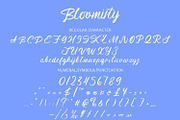 Bloomisty – Brush Handwritten Font, a Handwritten Font by MERCI STUDIO (Thumbnail 8 of 8)