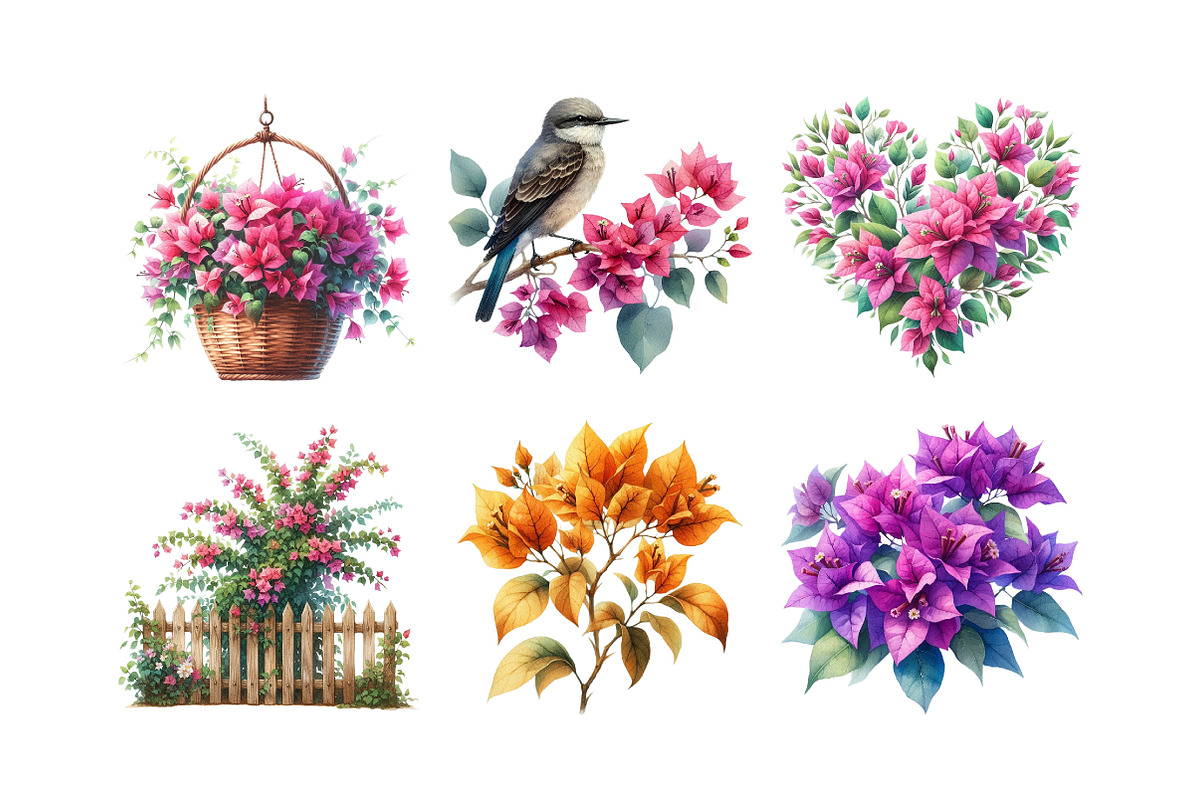 Bougainvillea Flower Clipart Bundle, an Illustration by Daily.Designs (Photo 5 of 5)
