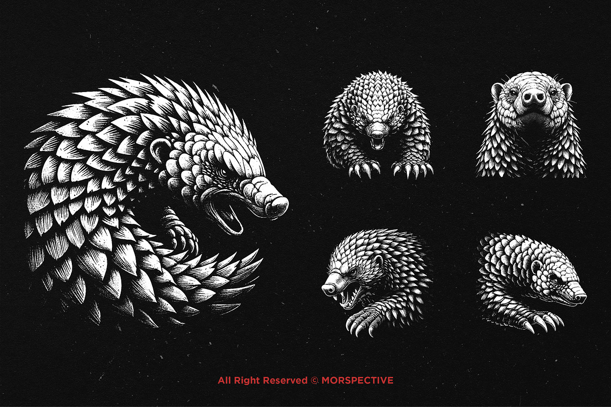 10 Bundle Dark Art Pangolin Armadilo, an Illustration by Morspective (Photo 5 of 7)