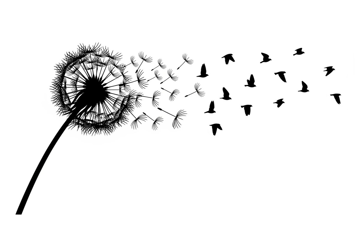 Dandelion Blow Silhouette Bundle, an Illustration by yasushie (Photo 7 of 31)