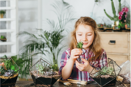 diy florarium home gardening hobby, a Sports & Recreation Photo by Photo Drive Studio