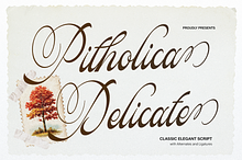 Pitholica Delicate Classic Script