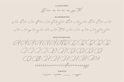Andaluse Selioth Beauty Script Font, a Script Font by Storytype Studio (Thumbnail 14 of 15)