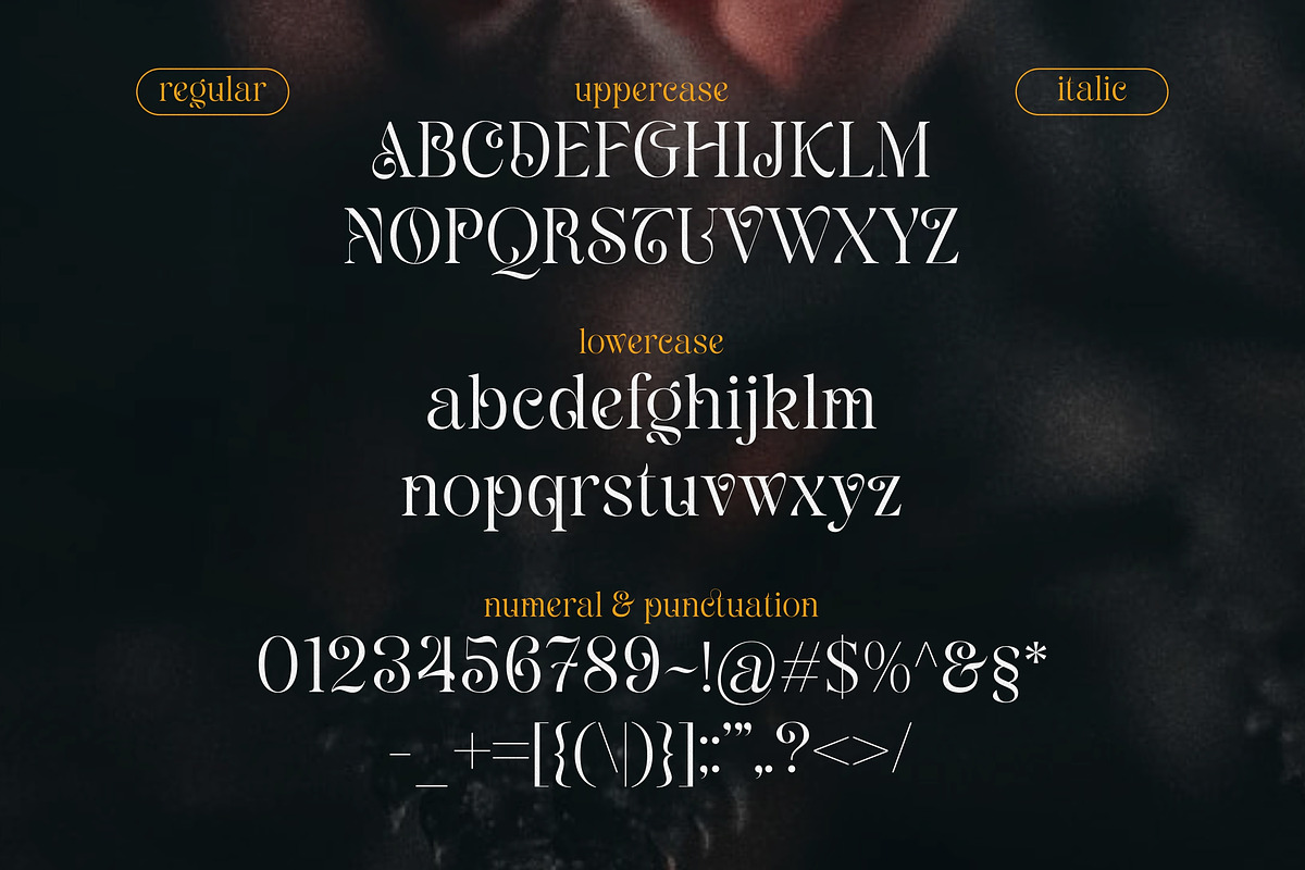 Rashela - A Decorative Serif, a Serif Font by agnyhasyastudio (Photo 7 of 10)