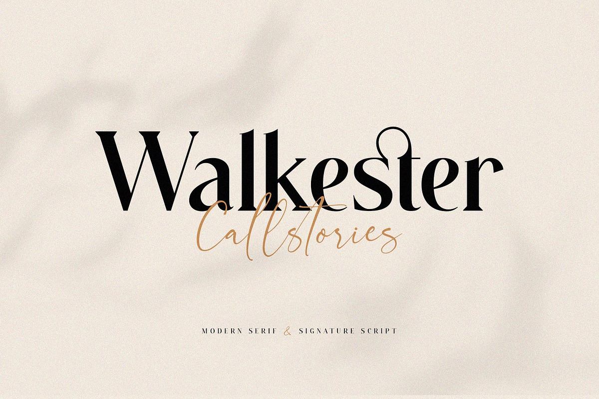 Ligature Font BUNDLE, a Serif Font by BrandSemut (Photo 55 of 70)