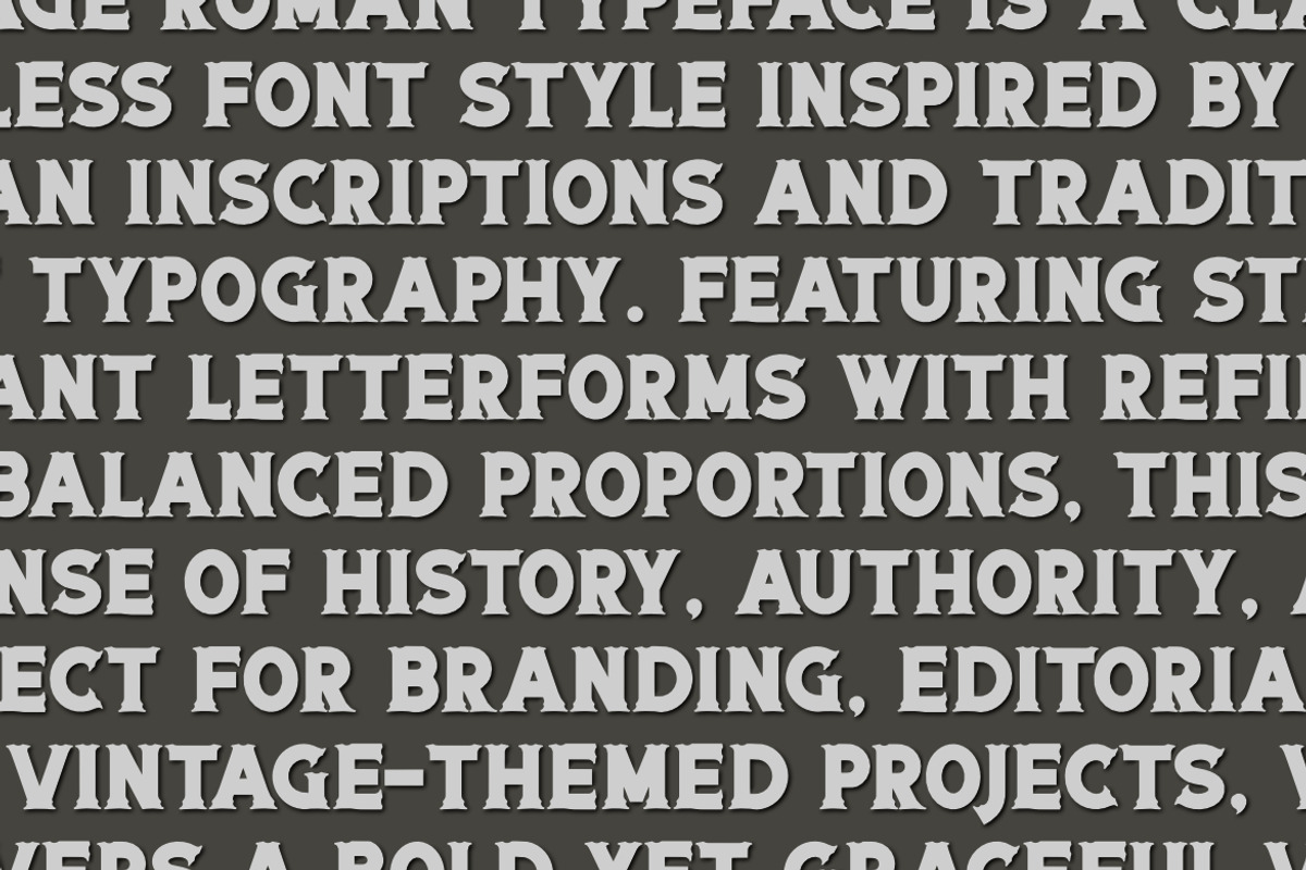 The Djamoed a Vintage Serif Font, a Serif Font by Bayuktx (Photo 6 of 8)