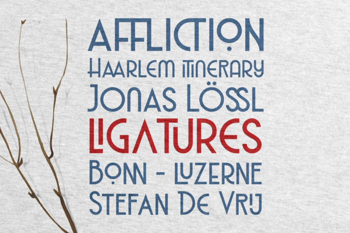 Haarlem Family | 3 in 1 Fonts, a Sans Serif Font by Twicolabs Fontdation (Photo 9 of 12)