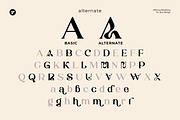 Raffin - Modern Serif Refined Font, a Serif Font by roomspace creative lab (Thumbnail 7 of 12)