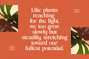 Single Robusta Modern Display Serif, a Serif Font by timelesstype.co (Thumbnail 5 of 20)