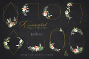 Hummingbird Birds Collection, an Illustration by ReachDreams (Thumbnail 4 of 6)