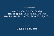 Rytnak - Luxury Retro Font, a Serif Font by QR Design Studio (Thumbnail 8 of 15)
