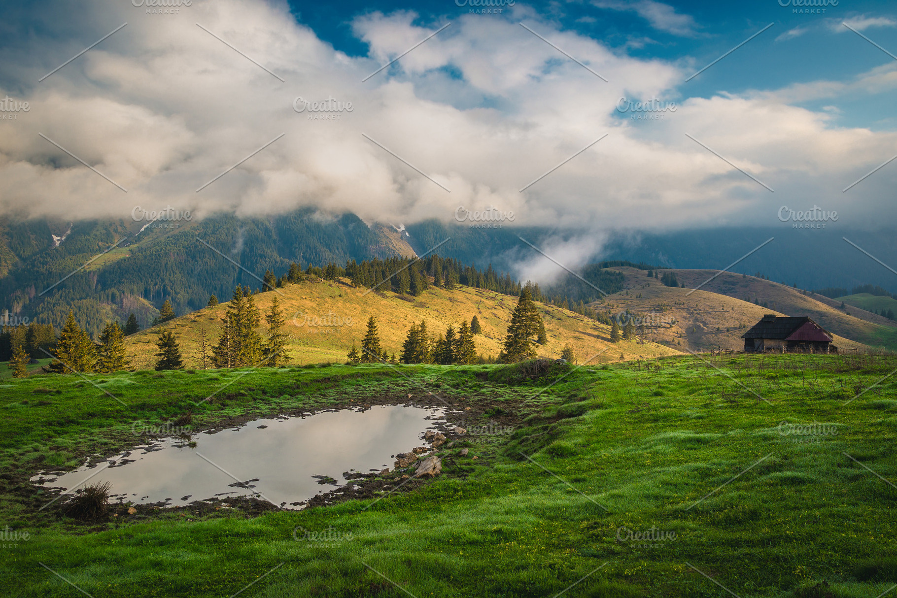 Foggy summer scenery at sunrise, a Nature Photo by Alpine Dreams