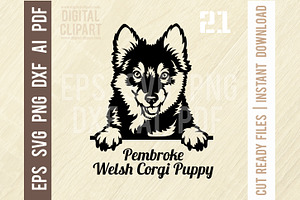 Pembroke Welsh Corgi Puppy SVG