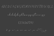 Absolute, a Script Font by StudioRz (Thumbnail 6 of 7)