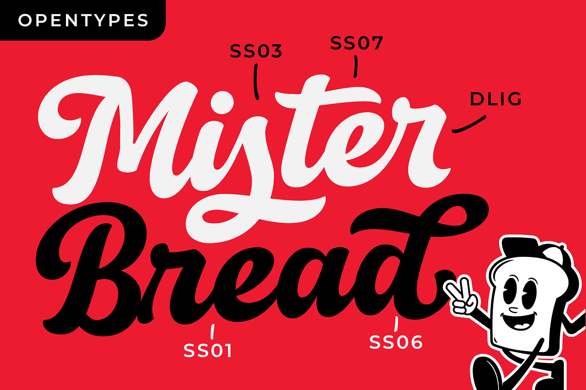 Rallies Bold Script, a Script Font by hastatypestd (Photo 3 of 12)